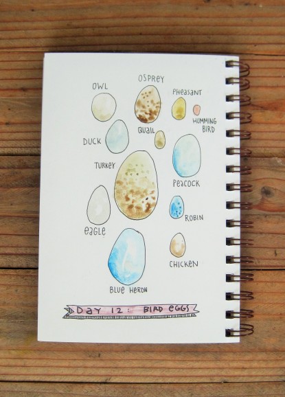 Day 012 - Bird Eggs (3)